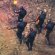 Shadow Tactics: Blades of the Shogun
