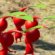 Pikmin 4