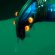 Subnautica: Below Zero