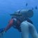 Endless Ocean 2: Der Ruf des Meeres